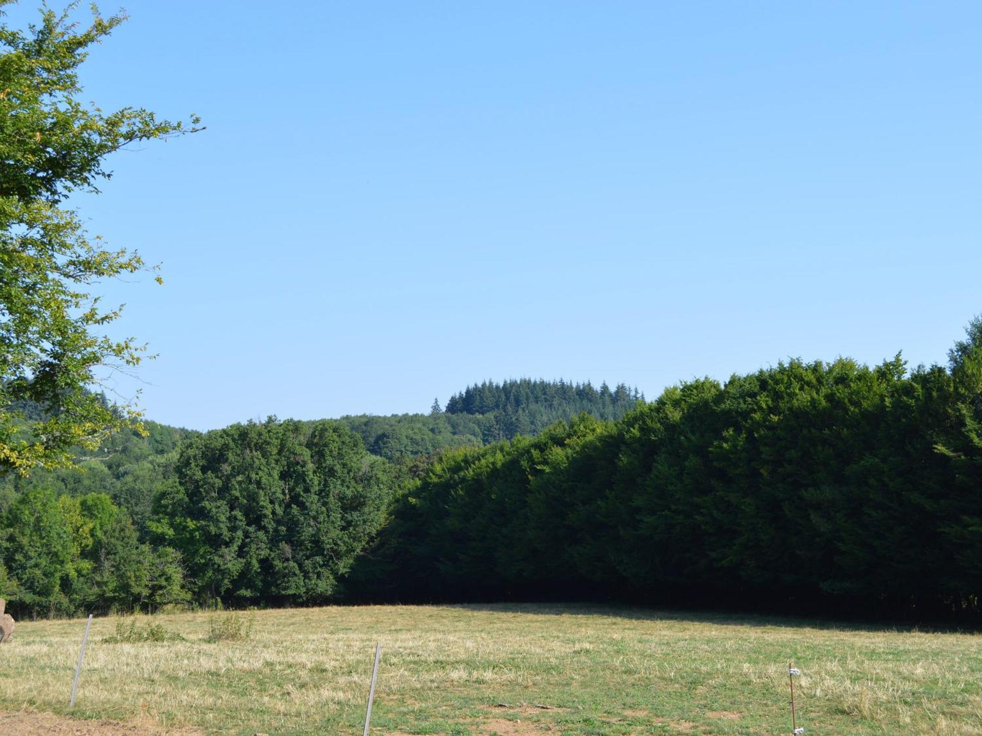 Grande Ferme Renovee Avec Jardin Et Loisirs A Proximite - Fr-1-591-155 Villa Pouligny-Notre-Dame ภายนอก รูปภาพ